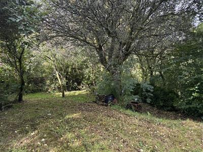Picture 18